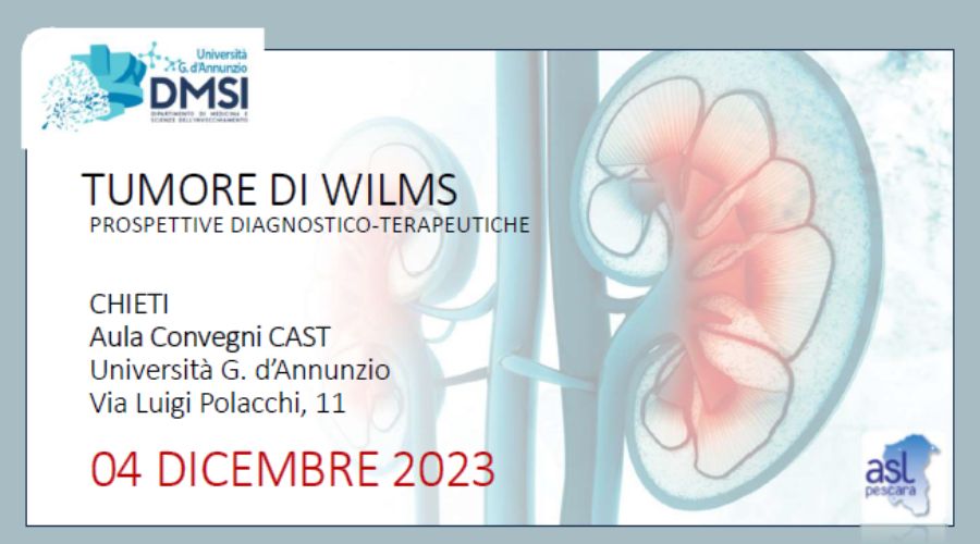 Clicca per accedere all'articolo Tumore di WILMS, prospettive diagnostico/terapeutiche - Chieti, 04 dicembre 2023